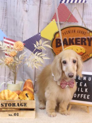 20240928ホクトくん